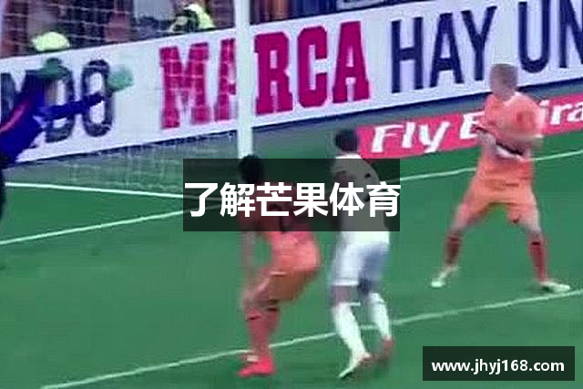 了解芒果体育